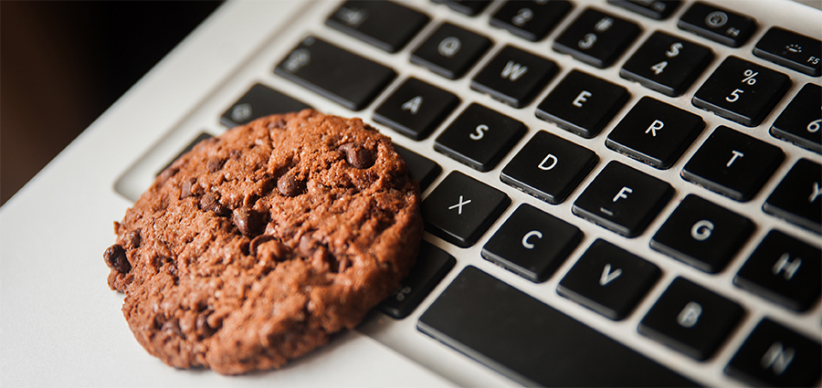 Aliquam erat volutpat